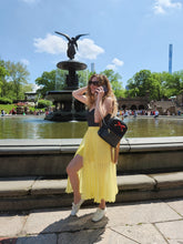 Load image into Gallery viewer, NYC Mini Park Backpack