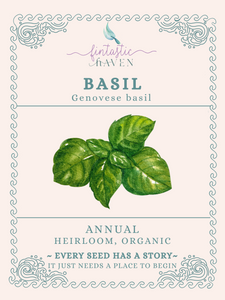 Basil Seeds